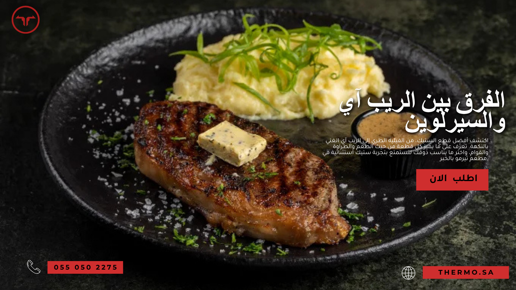 الفرق بين الريب آي والسيرلوين